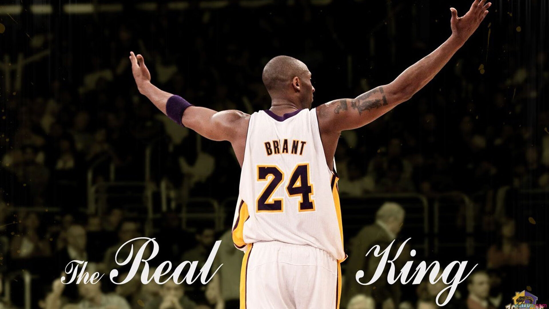 开云权威入口-电竞摄影师的视角：捕捉精彩瞬间与记录历史，电竞形象照